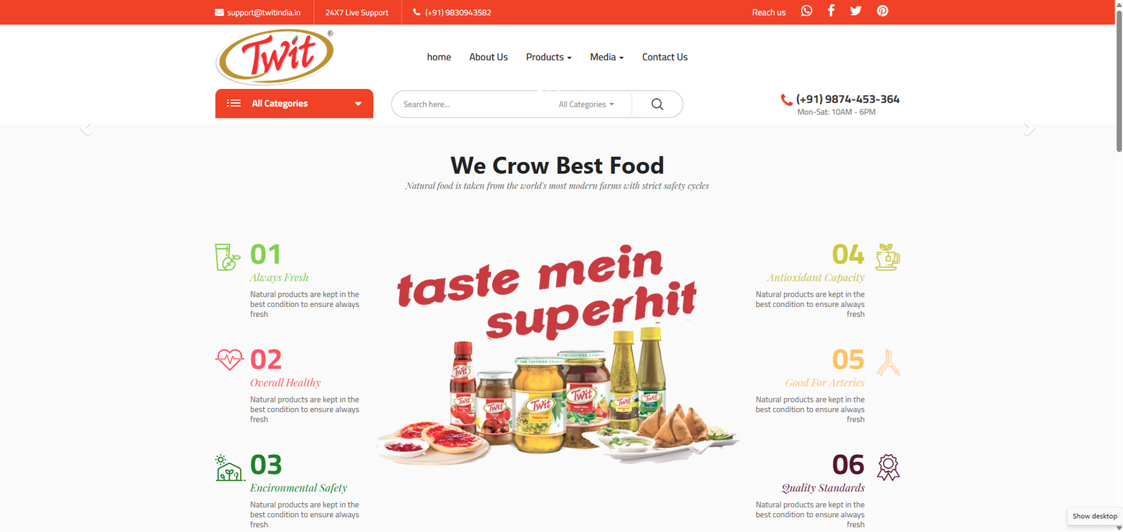 Twit India website screenshot